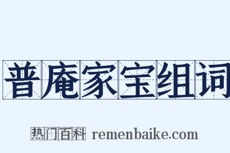 普庵家宝组词是什么意思的图片